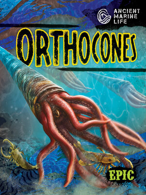 cover image of Orthocones